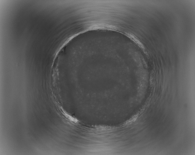 X0000071900877200608041340