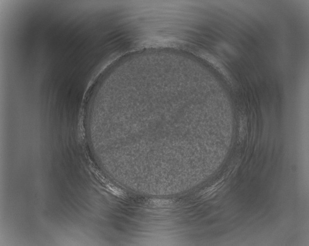 X0000071900878200608041340