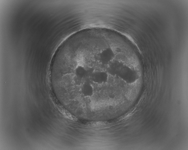 X0000071900879200608041340