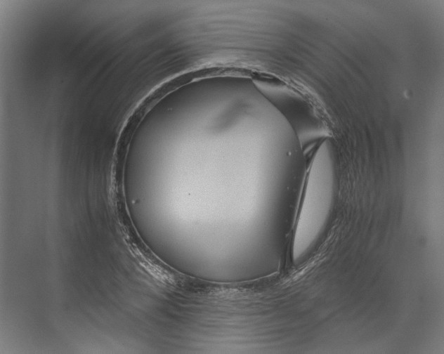 X0000071900880200608041340