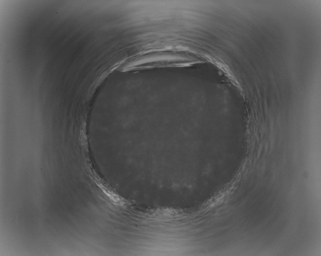 X0000071900881200608041340