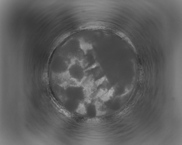 X0000071900882200608041340