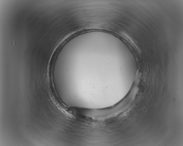 X0000071900884200608041340