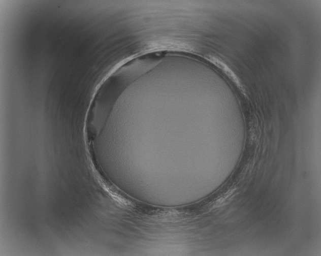 X0000071900885200608041340