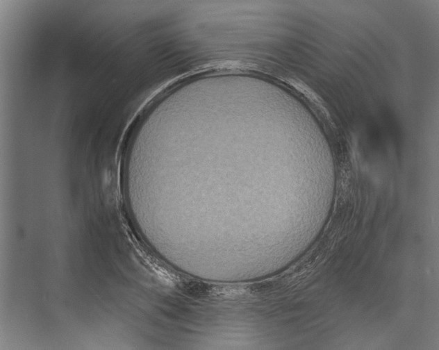 X0000071900886200608041340