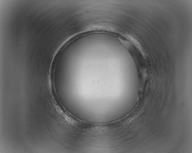 X0000071900888200608041340