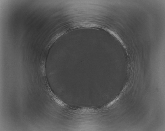 X0000071900889200608041340