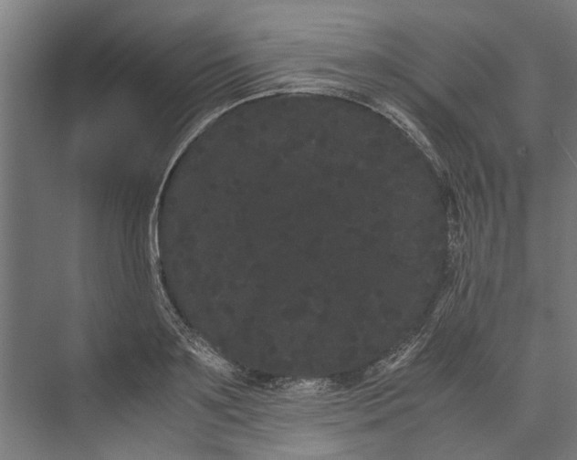 X0000071900891200608041340