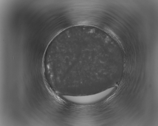 X0000071900892200608041340