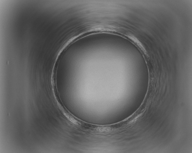 X0000071900893200608041340