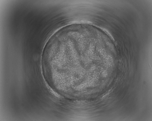 X0000071900895200608041340