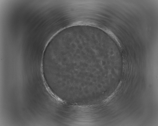 X0000071900896200608041340