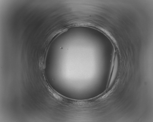 X0000071900897200608041340