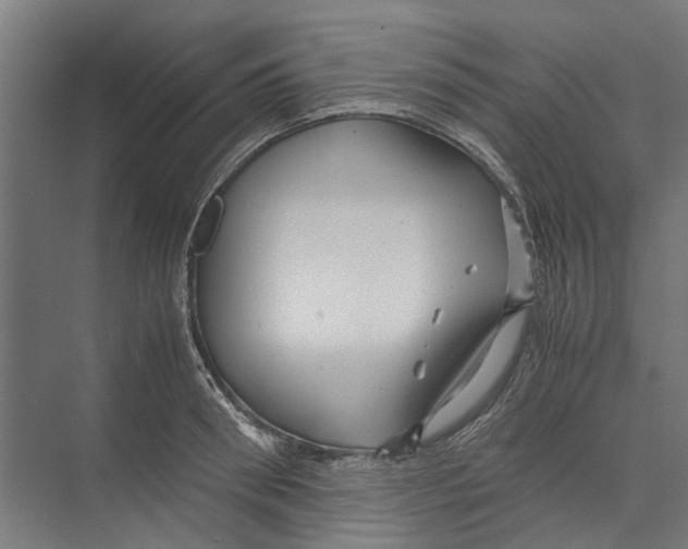 X0000071900898200608041340