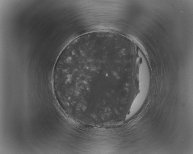 X0000071900899200608041340