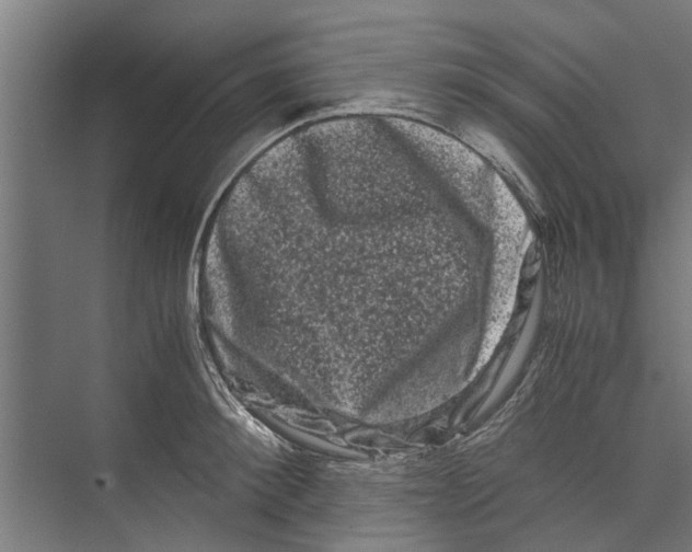 X0000071900900200608041340