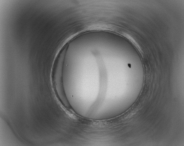 X0000071900901200608041340