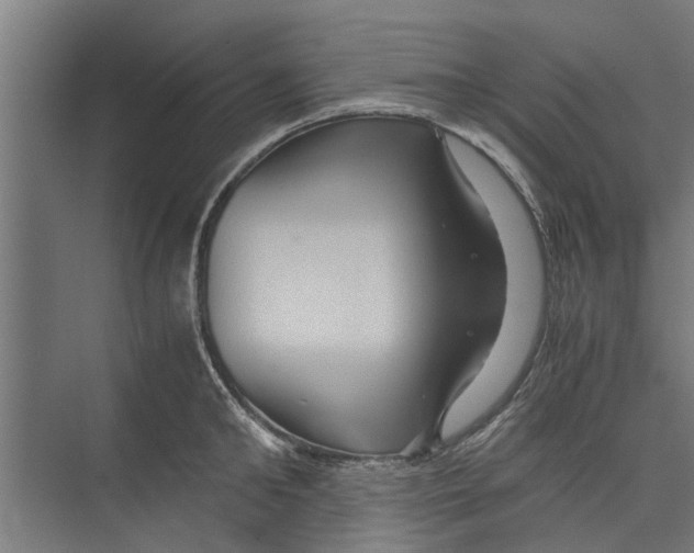 X0000071900902200608041340