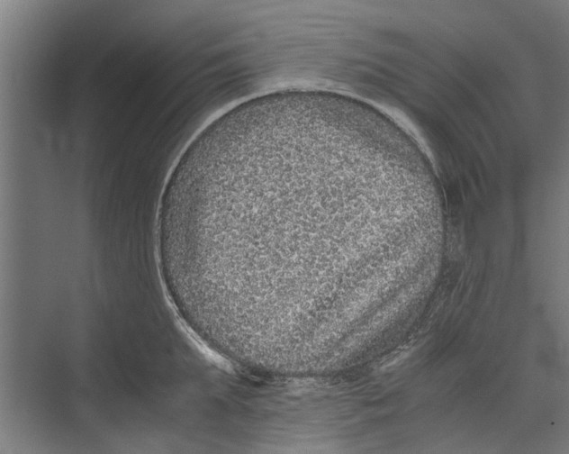 X0000071900903200608041340