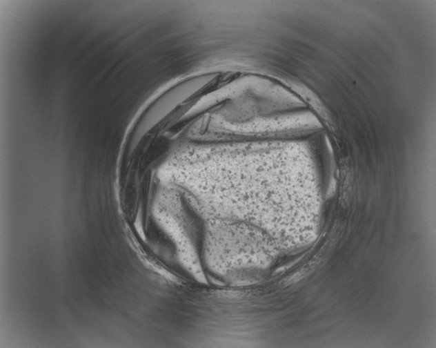 X0000071900904200608041340