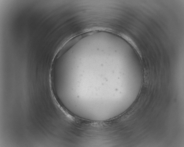 X0000071900906200608041340