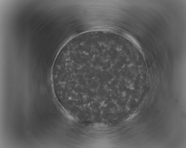 X0000071900907200608041340