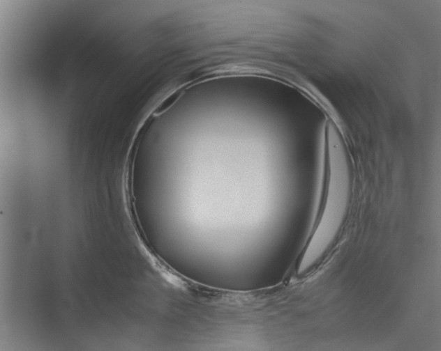 X0000071900909200608041339