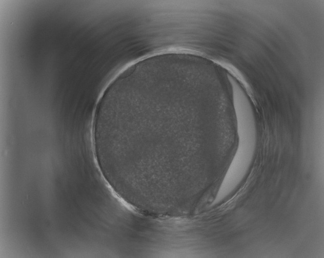 X0000071900910200608041339