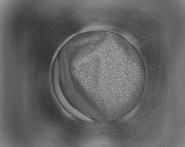 X0000071900912200608041339