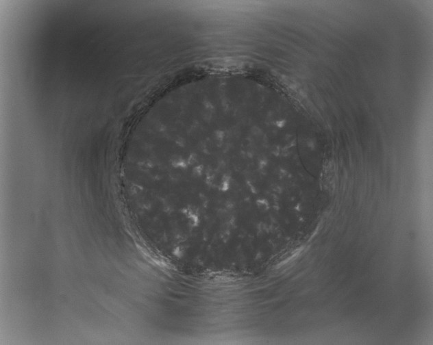 X0000071900913200608041339