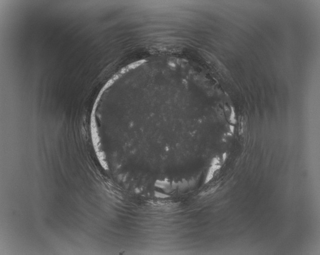 X0000071900915200608041339