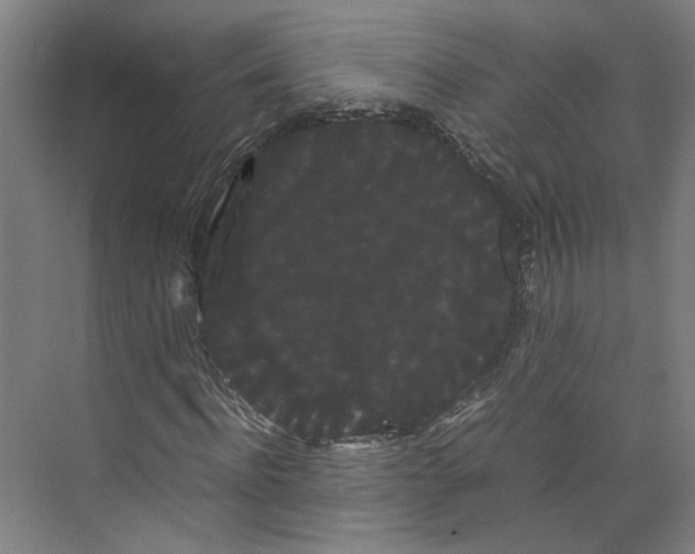 X0000071900916200608041339