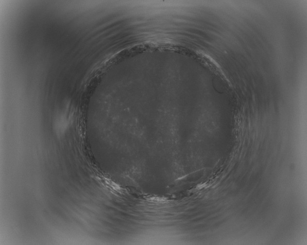 X0000071900919200608041339