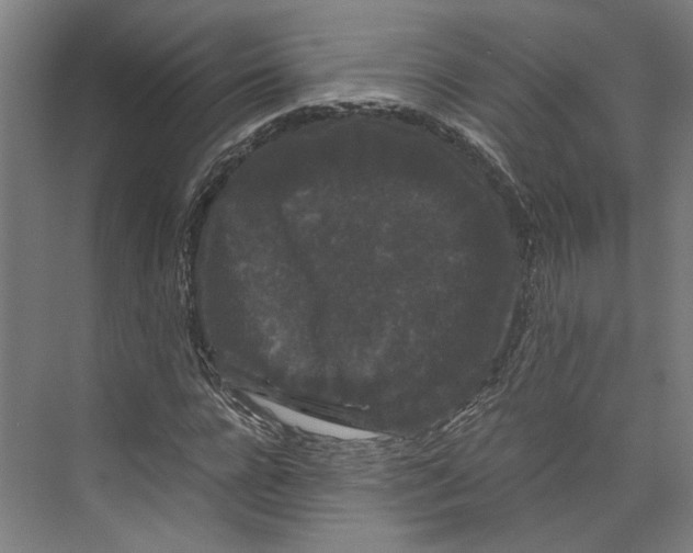 X0000071900920200608041339