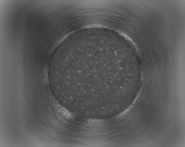 X0000071900921200608041339