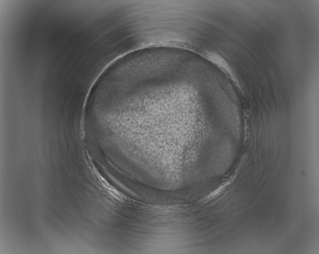 X0000071900924200608041339