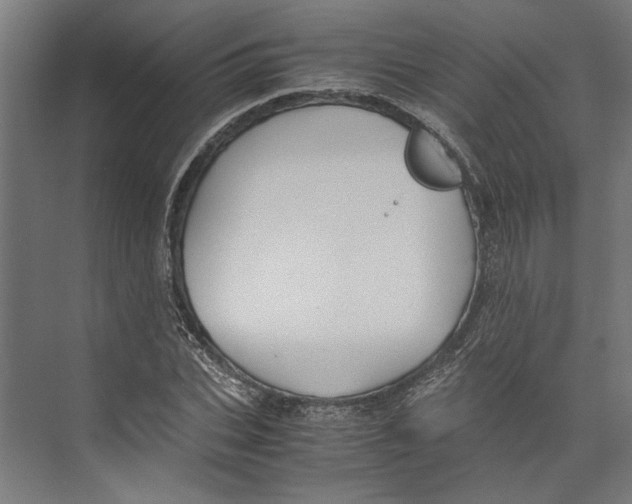 X0000071900927200608041339