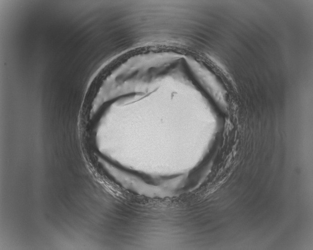 X0000071900928200608041339