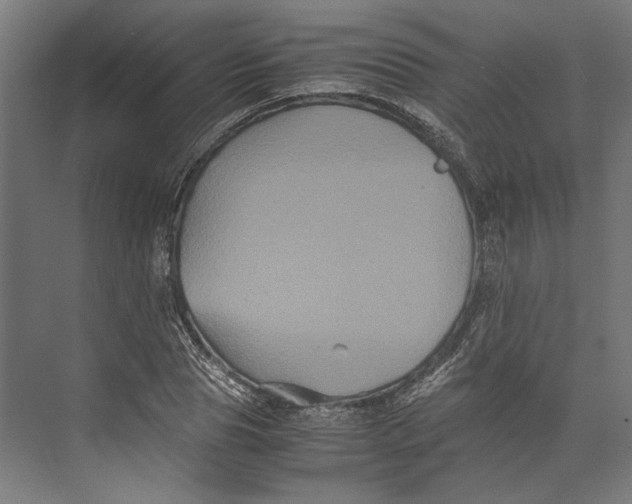 X0000071900929200608041339