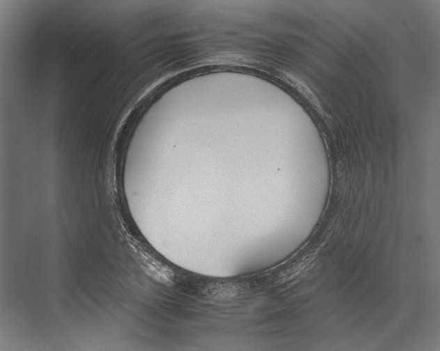 X0000071900931200608041339