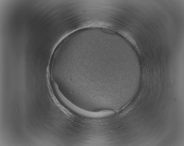 X0000071900936200608041339