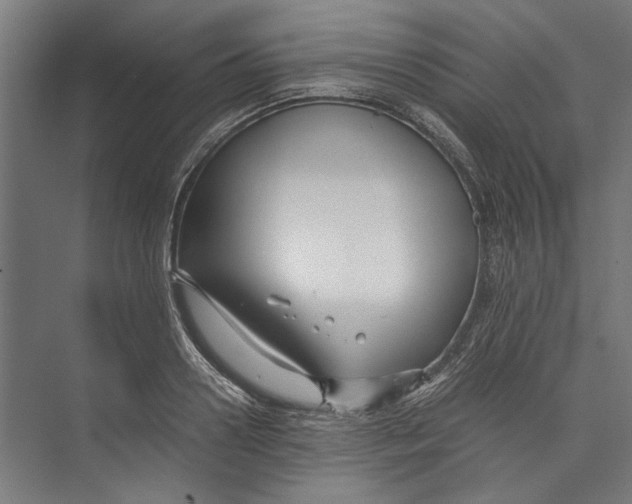 X0000071900938200608041339