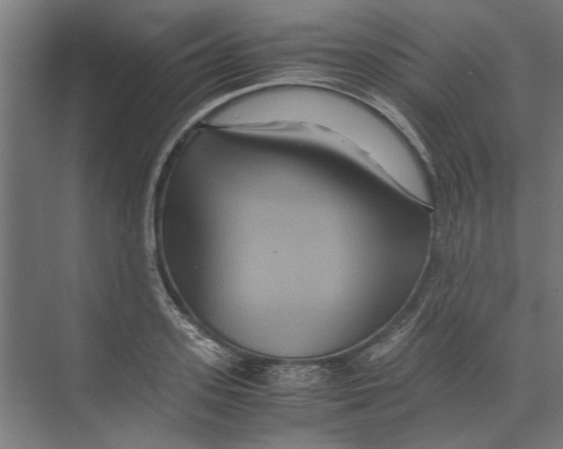 X0000071900939200608041339