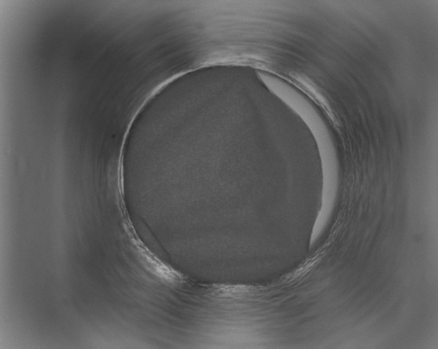 X0000071900940200608041339