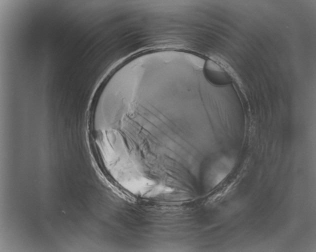 X0000071900941200608041339