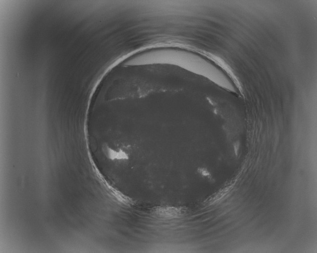 X0000071900943200608041339