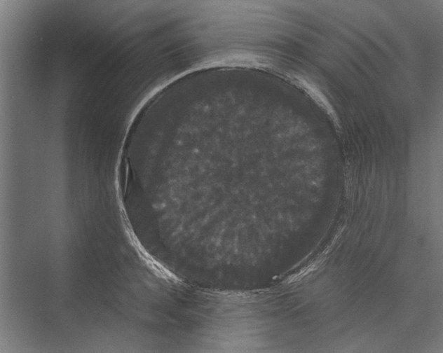 X0000071900944200608041339