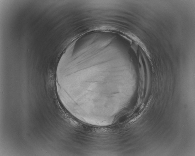 X0000071900945200608041339