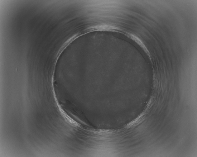 X0000071900946200608041339