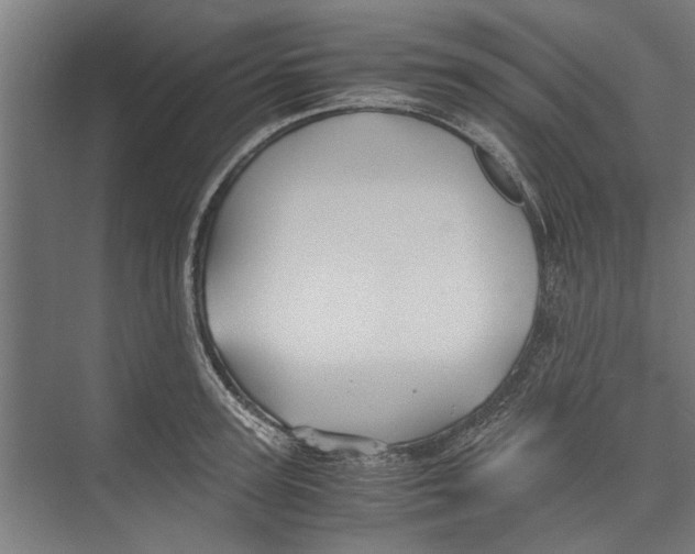 X0000071900947200608041339